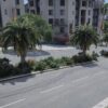 Road Vegetation around Map