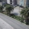 Road Vegetation around Map