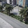 Road Vegetation MLO
