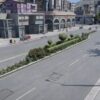 Road Vegetation MLO